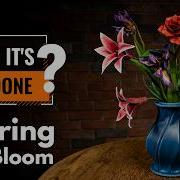 Spring Bloom DIY Leather Tutorial