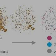 Emily Monroe Gephi Analysis Of Facebook Engagement