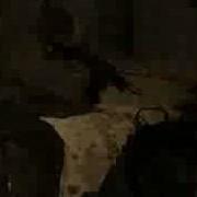 CoD4 Ownage