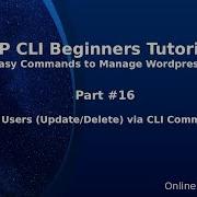 Уроки по WordPress WP CLI для начинающих 16 Управление пользователями обновление удаление ко
