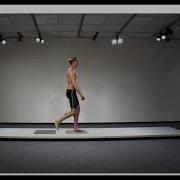2D Markerless Tracking Gait Skeleton CONTEMPLAS MULTI CAMERA SYSTEM