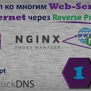 01 Reverse Proxy Info Nginx Proxy Manager Access To Servers