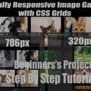 Responsive Image Gallery Using CSS Grid HTML CSS Project For Beginners Step By Step Tutorial