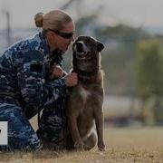 Air Force Security Jill