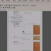 Constructor Software Specifications