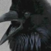 Alan Parsons Project The Raven