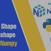 Fungsi Shape Dan Reshap Array Numpy Pengenalan Dimensi Array Data Science With Numpy Eps 7