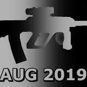 CS GO 2019 Year Of The AUG