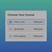 Custom Radio Button In HTML And CSS