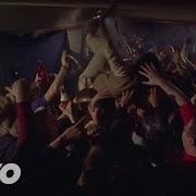 Dead To Fall Major Rager