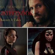 Gryffindor Pride Whatever It Takes Multifandom