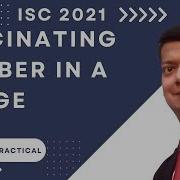Fascinating Number In A Range ISC Computer Science Practical Q1 2021 SOLVED Java Efficient