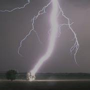 Lightning Striking Tree In 4K Tree Catches On Fire