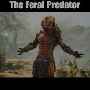 Predator Hunting Grounds All Predator Roars 2024