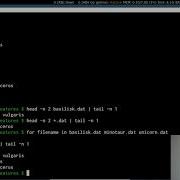 The Unix Shell Loops Software Carpentry