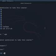 Bash Scripting The Elif Statement Lab On Kali Linux