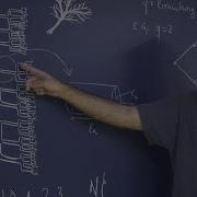 Principles Of Biological Design Seminar 04 The Origins Of Allometric Scaling Laws