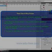 Timeline And Inserting Key Frames In Adobe Flash CS4