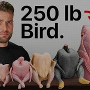 Я приготовил всех экзотических птиц
