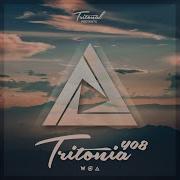 Falling Tritonia 408 Craig Connelly Remix
