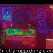 Ragga Jungle DnB Mix King Wuppi IN THE BASS BUNKER Vol 2 11 05 2020