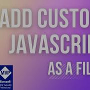How To Add Custom JavaScript As A Separate File In Power Pages