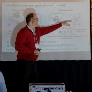 Low Resolution Adaptive Compressed Sensing For MmWave MIMO