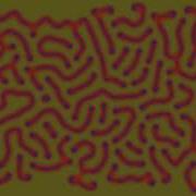 Generative Art Optic Flow 2026 02