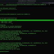 TryHackMe 356 Web Enumeration
