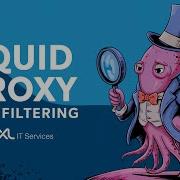 Squid As Transparent Proxy Web Filtering NFTables TProxy EN