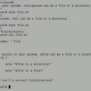 Bash Check If An Input String Is A Directory File Or Nothing