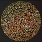 Thinking Particles Texure Inherit