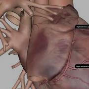 Demo Of Interactive Heart