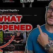 What ACTUALLY Happened To NERD