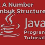 Java Program Display Number Rhombus Structure Using For Loop