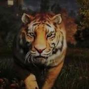 Far Cry 4 Forever GMV