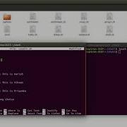 Shell Script Using Case In