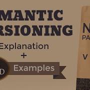 Understanding Semantic Versioning With Real World Examples