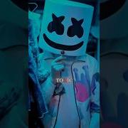 TOXIC X MARSHMALLOW