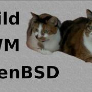 OpenBSD с DWM