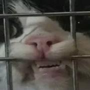 My Webm Collection 21