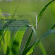 Transparent Cmd Command Prompt Vb Net 2008 Source Code