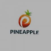 Pineapple Payments Hosted Payment Page