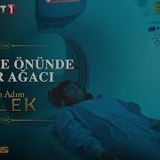 Hastane Önünde İncir Ağacı Benim Adım Melek 9 Bölüm