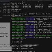 ED 202 Demonstration Buffer Overflow Without Shellcode
