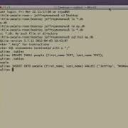 CodeLesson Getting Started With SQLite