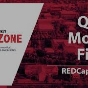 REDZone Quick Modify Fields