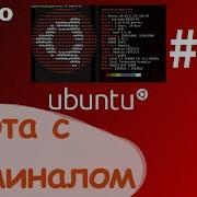 Linux основы Терминал в Ubuntu Команда Alias