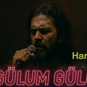 Oy Gülüm Gülüm Hard Rock Anadolu Rock Türkü