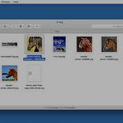 How To Set Up The Working Folder Bootstrap 4